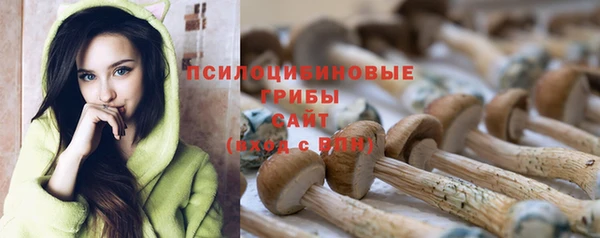 дживик Нефтекумск