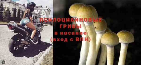 ешки Бугульма