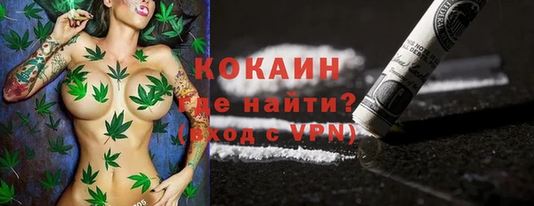 Альфа ПВП Верея