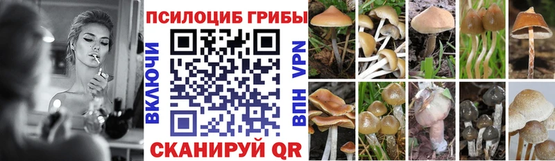 гидра зеркало  Гдов  Псилоцибиновые грибы прущие грибы  как найти наркотики 
